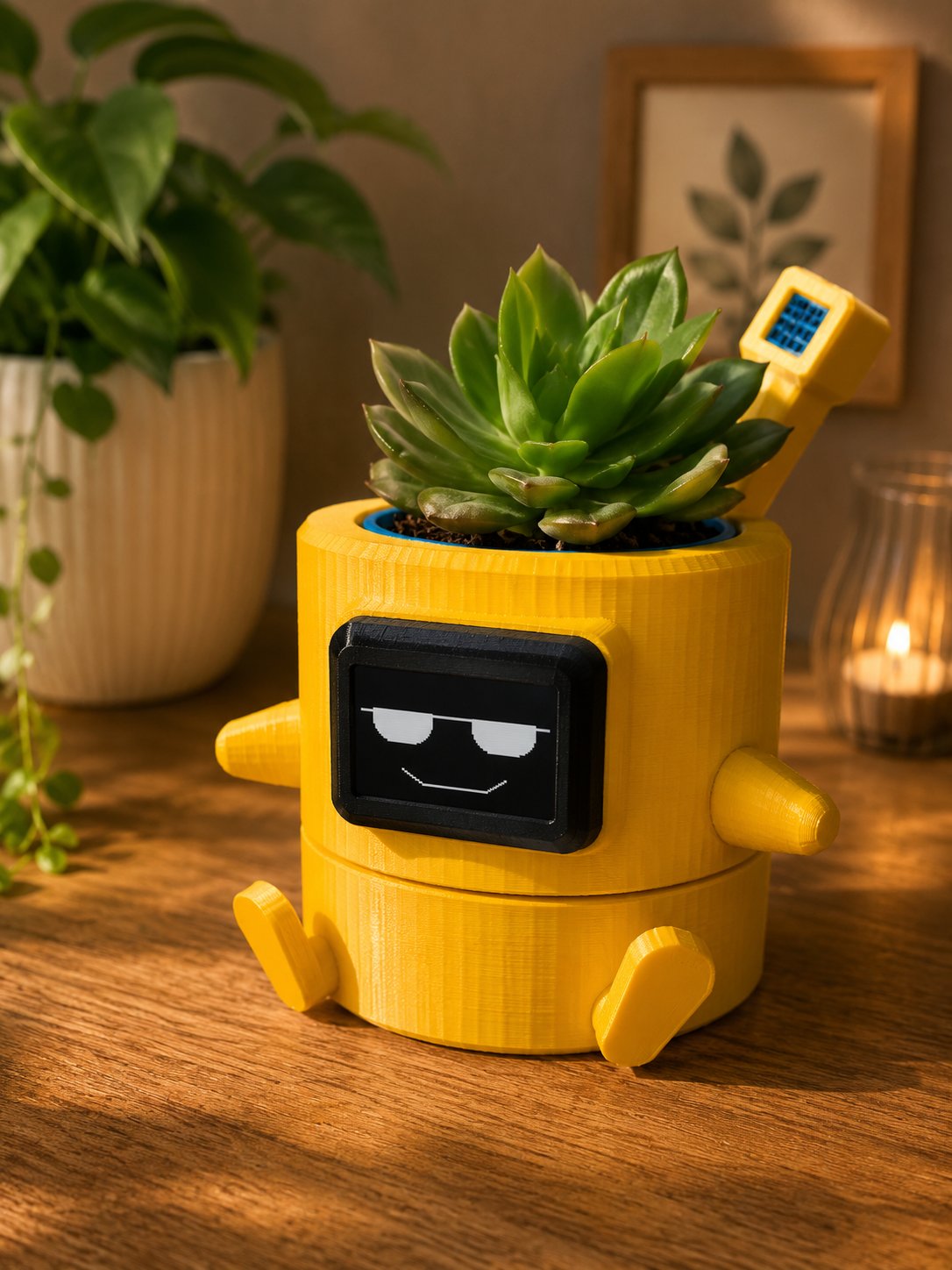 PlantFeel cool